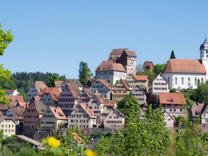 Das Bild zeigt eine Ansicht der historischen Altstadt von Altensteig bei blauem Himmel.